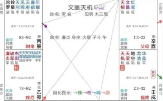 紫微斗数双象的解释（禄权 / 禄忌 / 权忌等六组合象义）禄随忌走真义