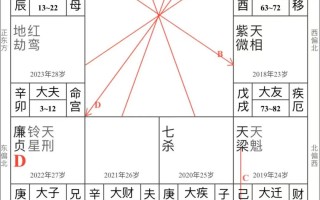 紫微命无正曜格男命：从命盘看性格 / 学历 / 婚姻 / 财官，附具体案例解析