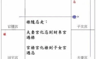  紫微斗数禄随忌走是什么意思（怎么看）应用案例解析详解
