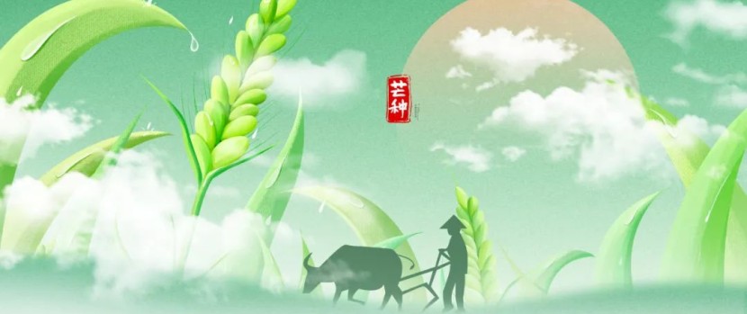 芒种养生小知识（十大最佳方法）重点小妙招大全
