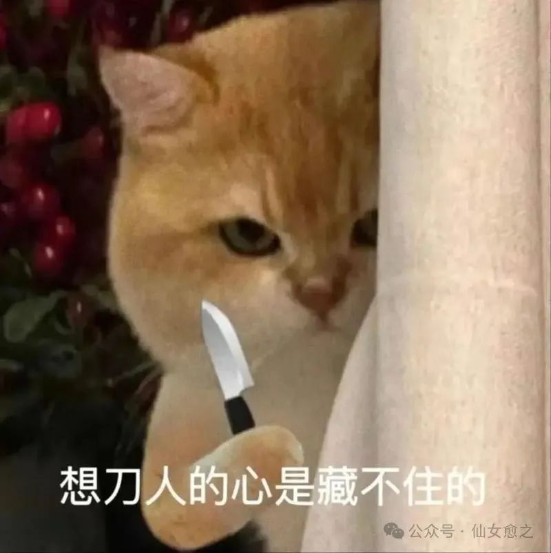 紫微斗数改运（风水篇） 科学逻辑，命理与风水如何联动-第3张图片-易秘