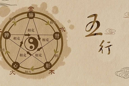 从零开始学八字（八字基础知识汇总）一步一步教你八字入门-第2张图片-易秘